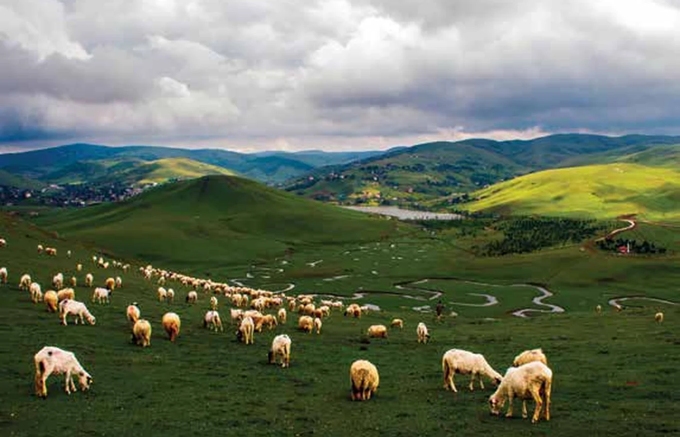 Aybastı Perşembe Yaylası ve Menderesler